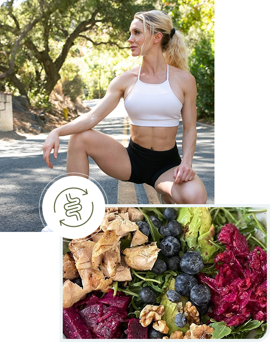 gut-health-repair-image
